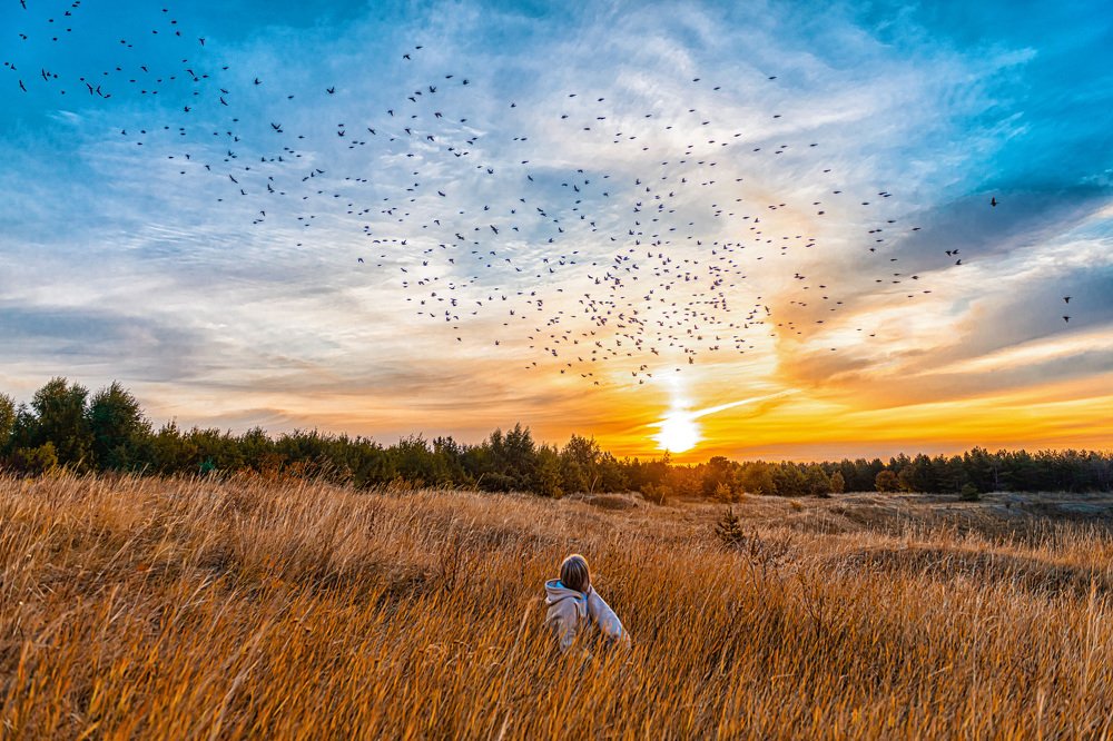 Photograph by Sergey Rygin