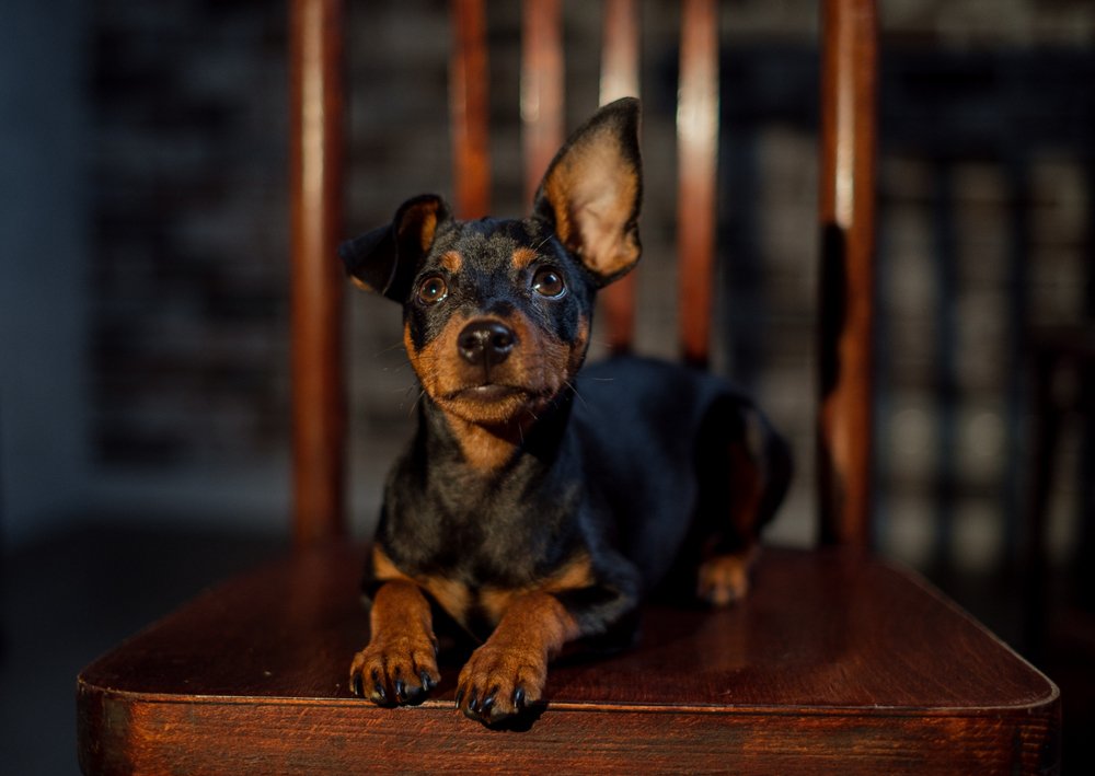 Фотография автора Алеся Кубаткина