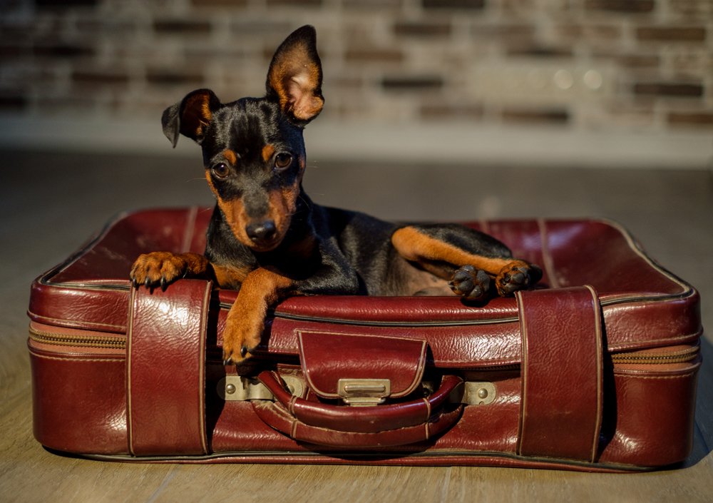 Фотография автора Алеся Кубаткина