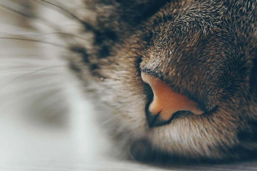 Photograph by Ирина Назарова