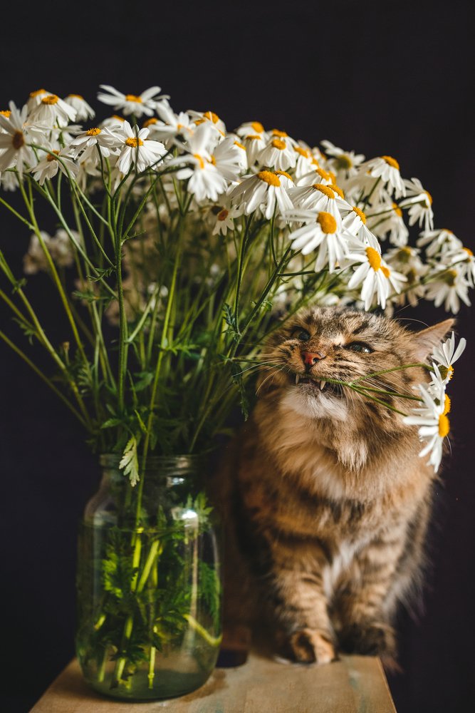 Photograph by Ирина Назарова