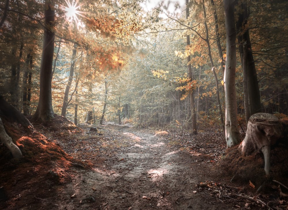 Photograph by Charlotte Clausen