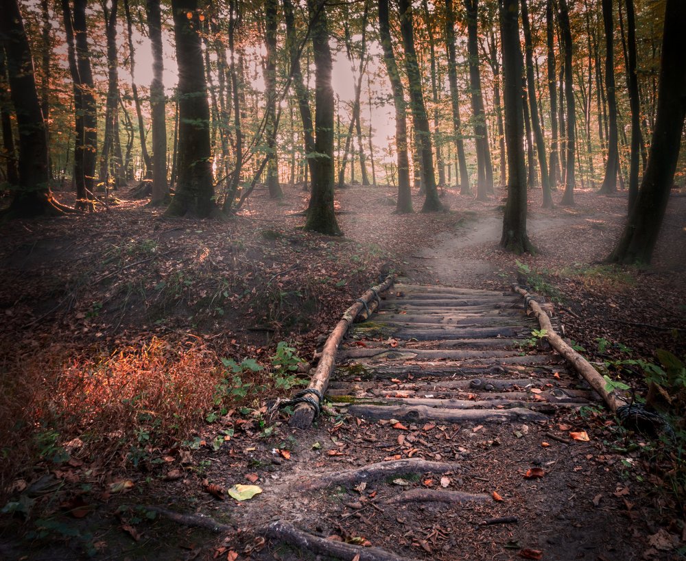 Photograph by Charlotte Clausen