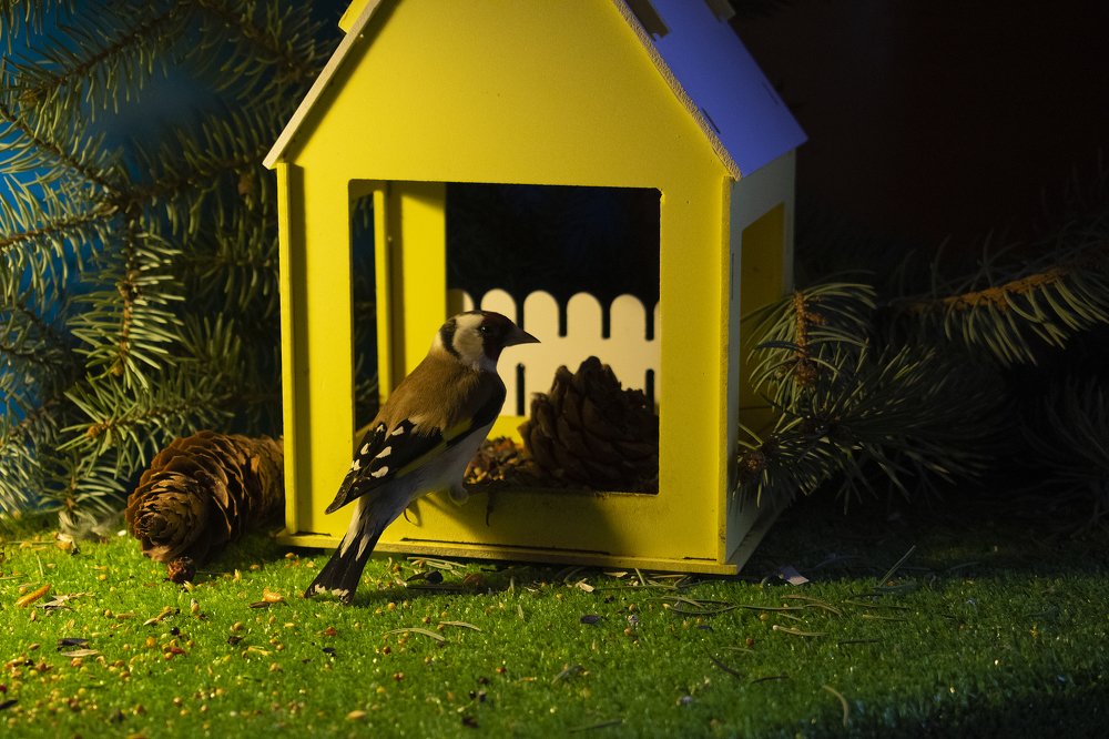 Photograph by Виктор Бурмистров