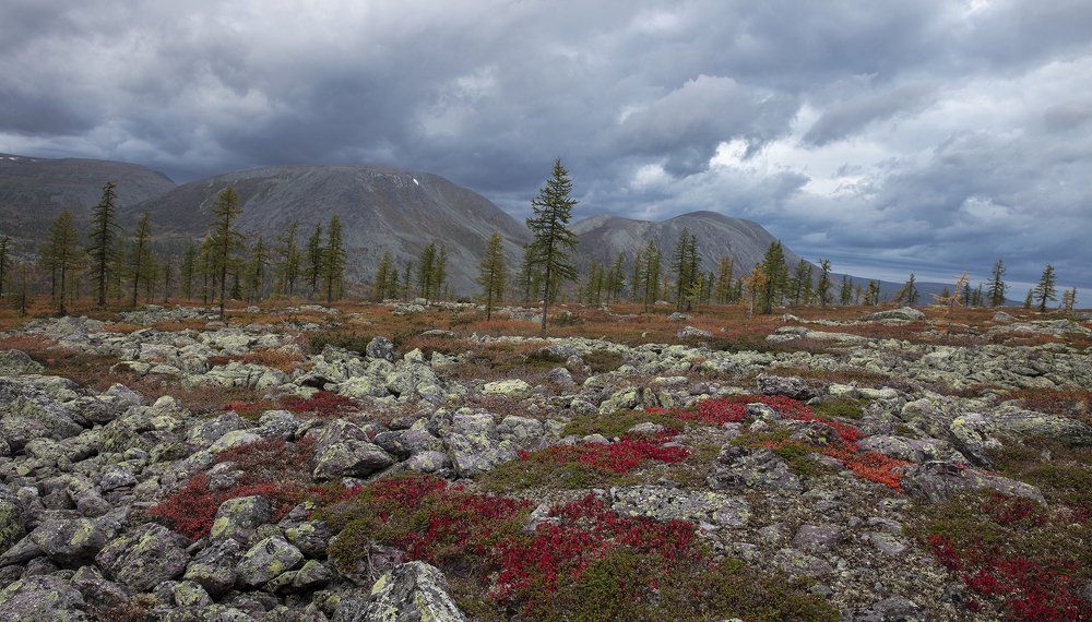 Photograph by Владислав Костылев