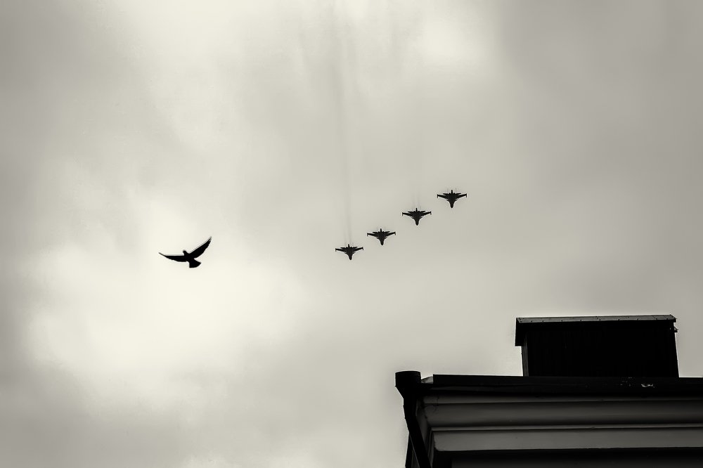 Photograph by Виталий Павлов