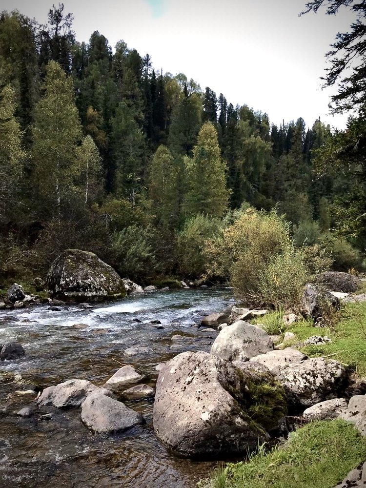 Сила Сибири.