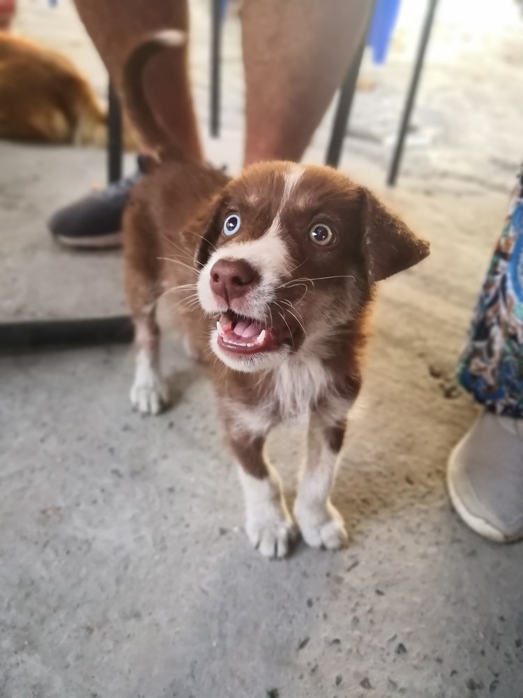 Photograph by Теймураз Батиашвили