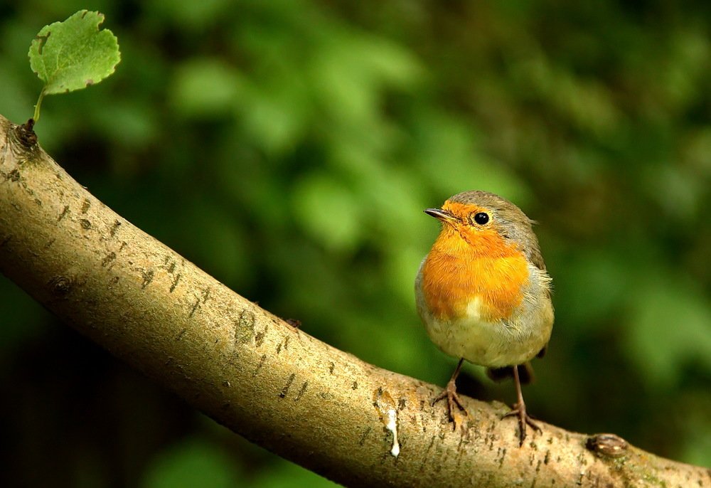 Photograph by Александр Столяров