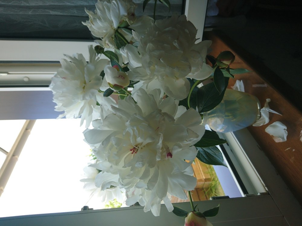 Photo #5012275