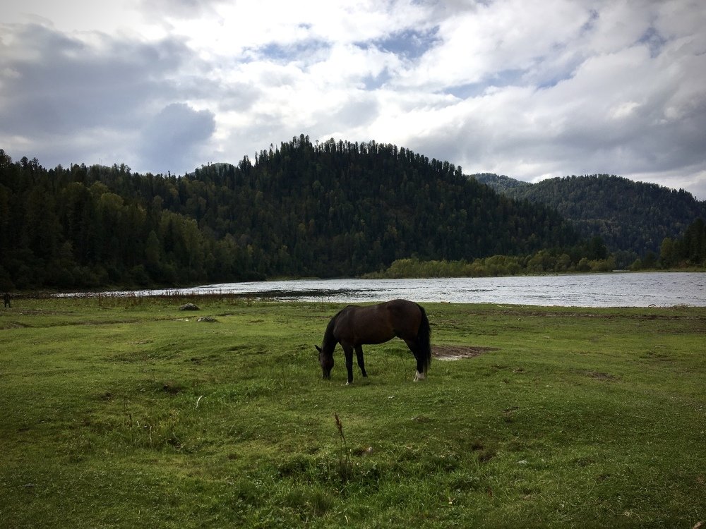 Photograph by Лев Марков