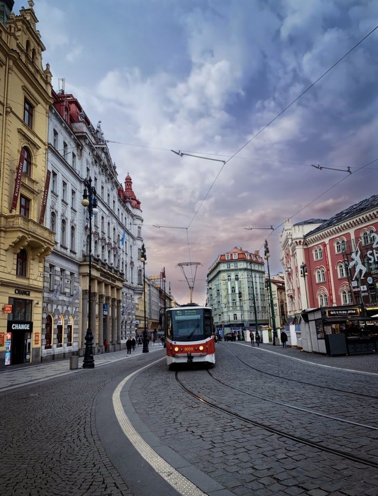 Photograph by Angelescu Andreea Mihaela