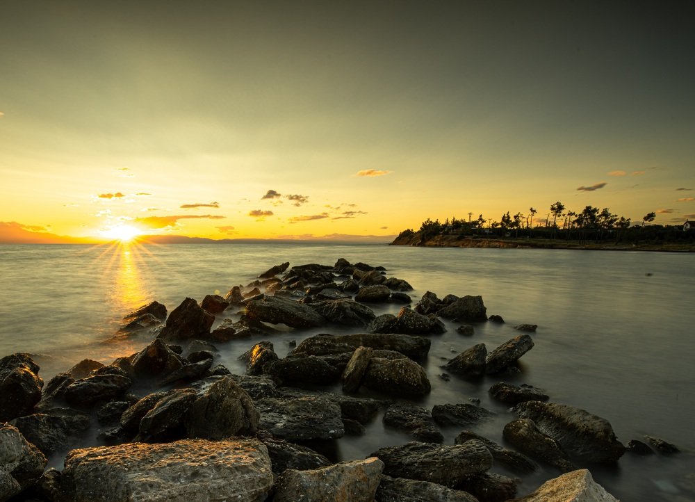 Photograph by 