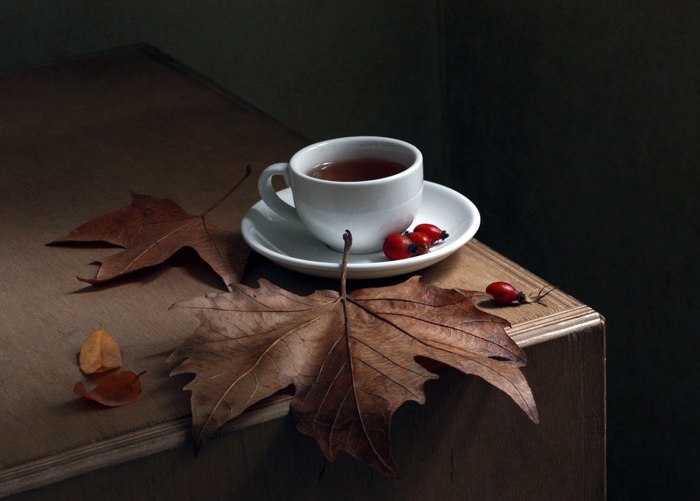 Photograph by Дмитрий Сырбу