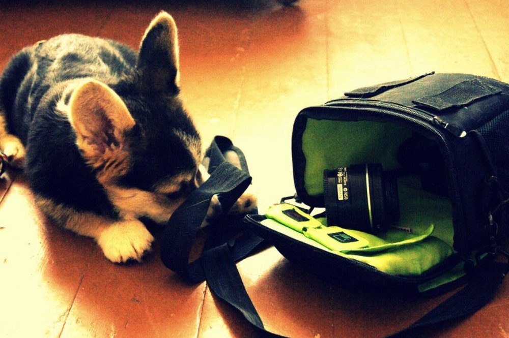 Photograph by Зайцева Катерина