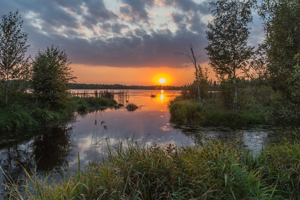 Photograph by Евгений Патрешов