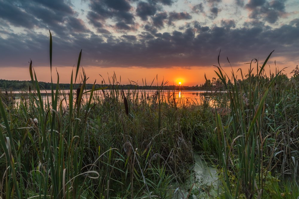 Photograph by Евгений Патрешов