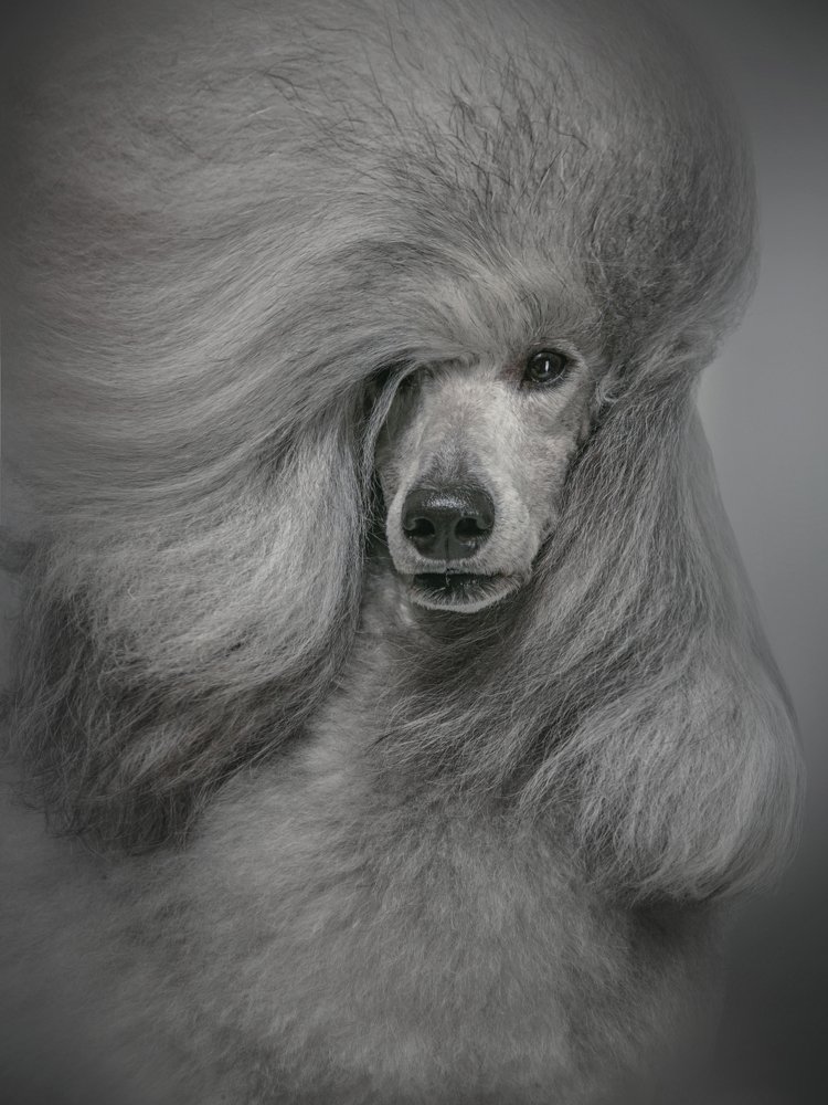 Фотография автора Katerina Mumzhinskaya