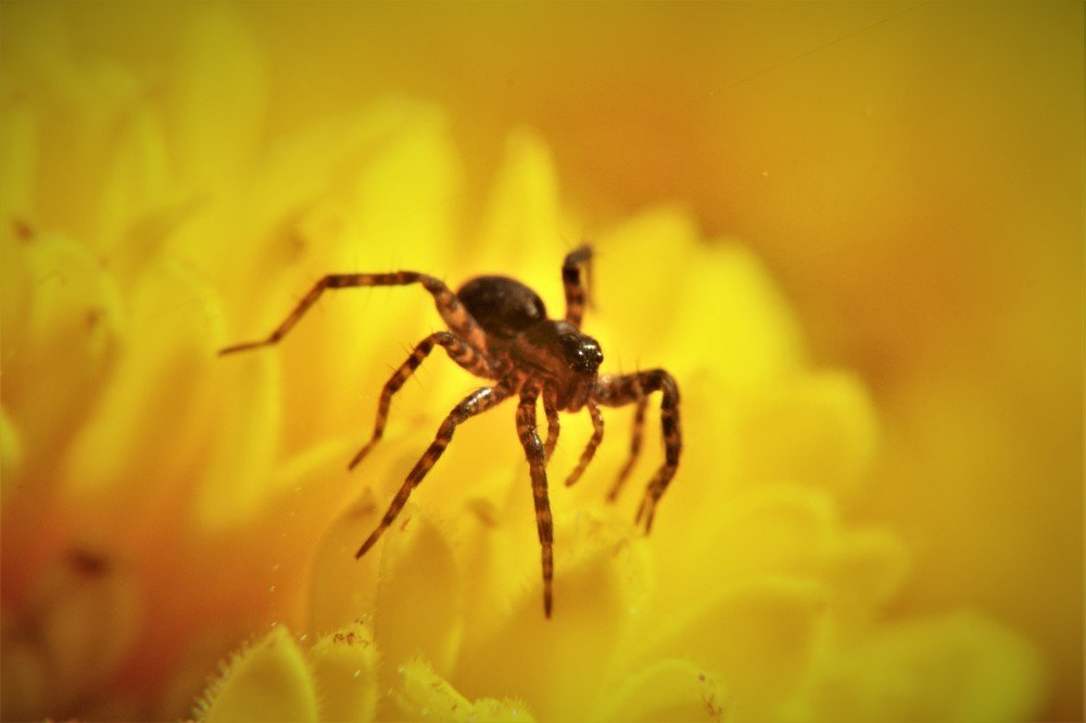 Photograph by Alvils Baltins