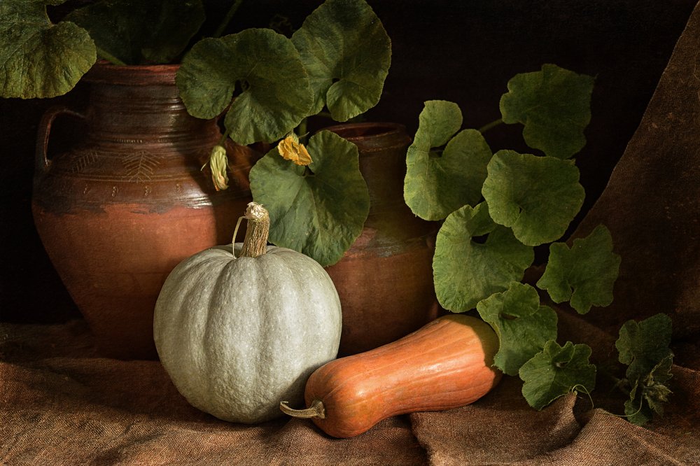 Photograph by Марина Хаева