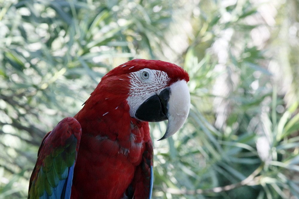 Photograph by Мария Самоловова