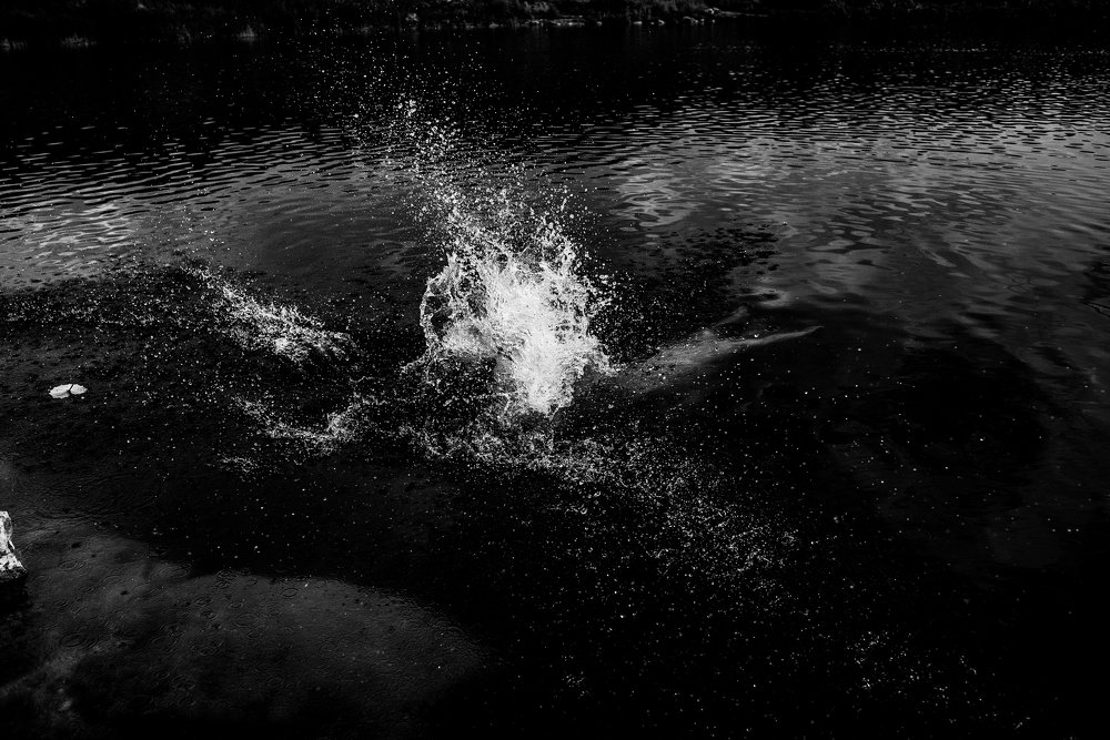 Photograph by Надежда Тенетко