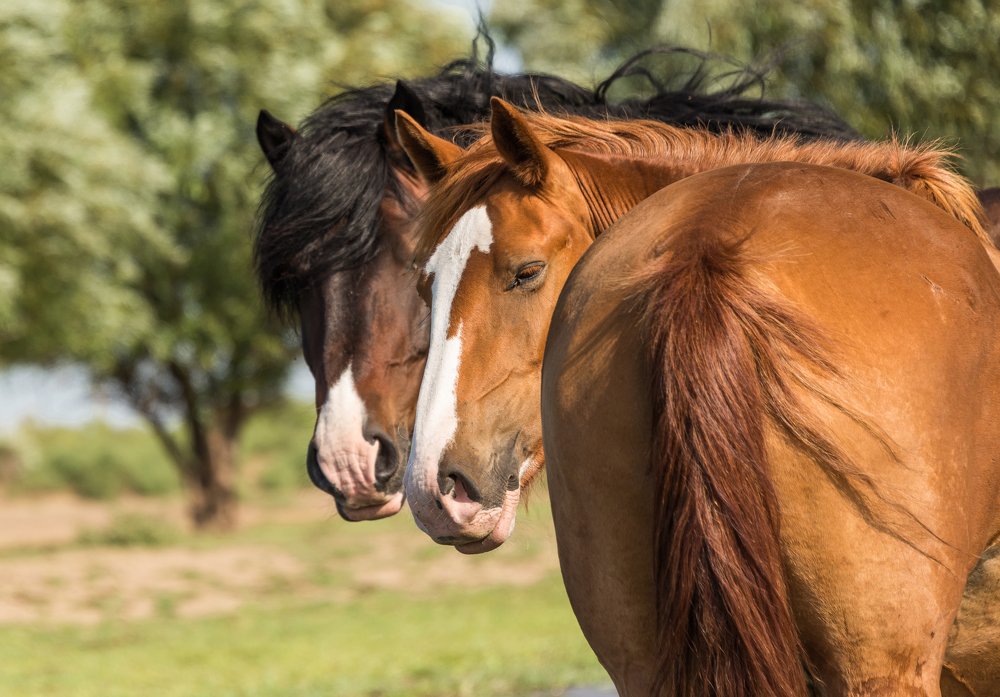 Photograph by Владимир Брагилевский