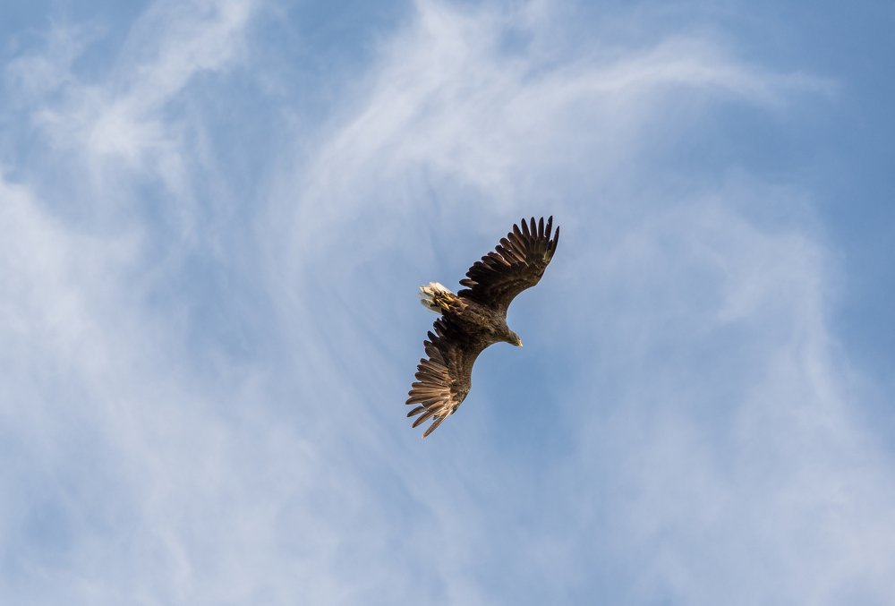 Photograph by Владимир Брагилевский