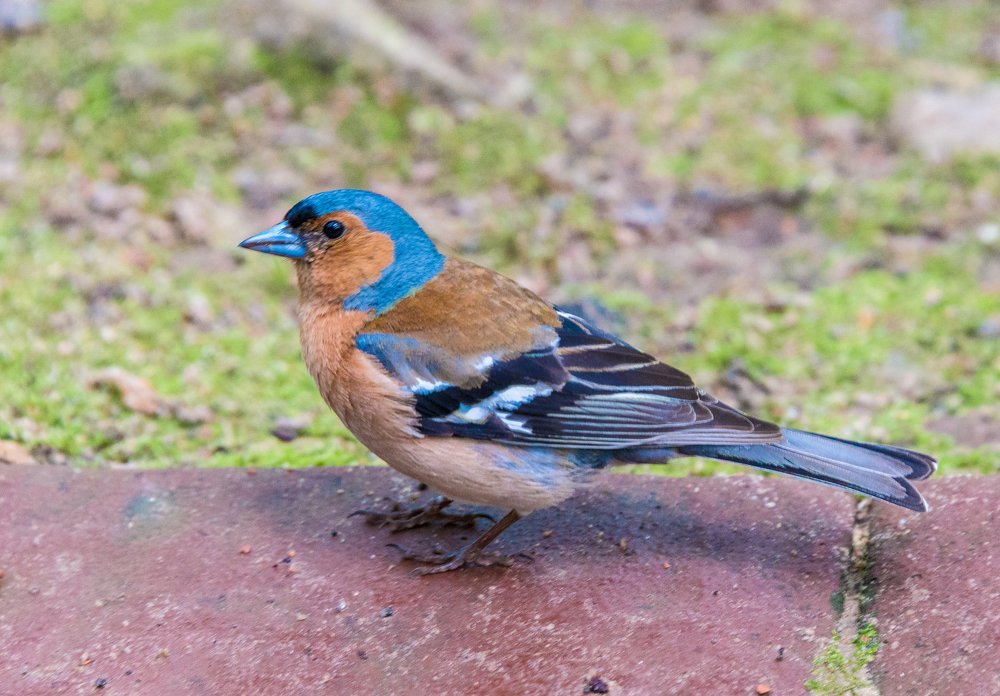 Photograph by Владимир Брагилевский