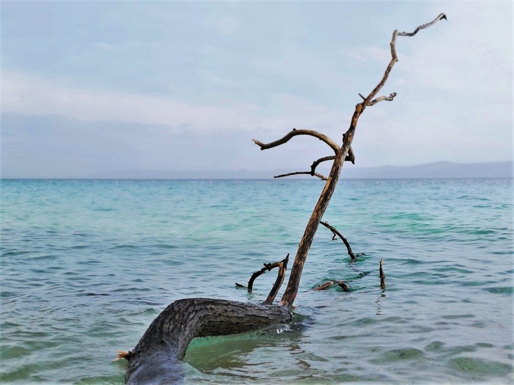 Photograph by Alvils Baltins