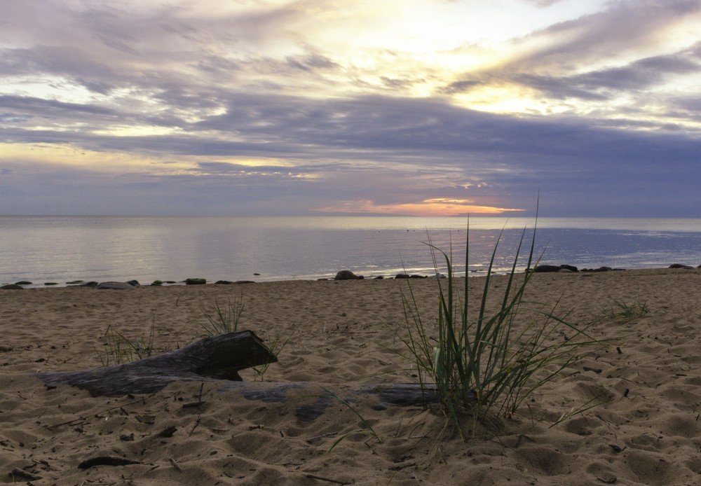 Photograph by Alvils Baltins