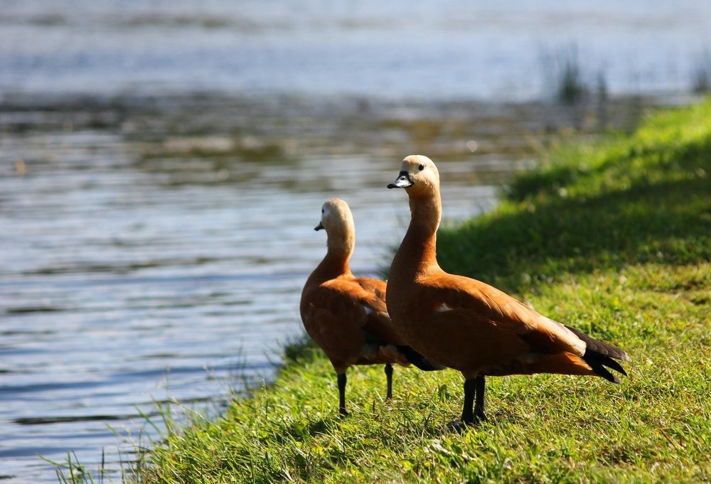 Фотография автора Владислава Андрюнина