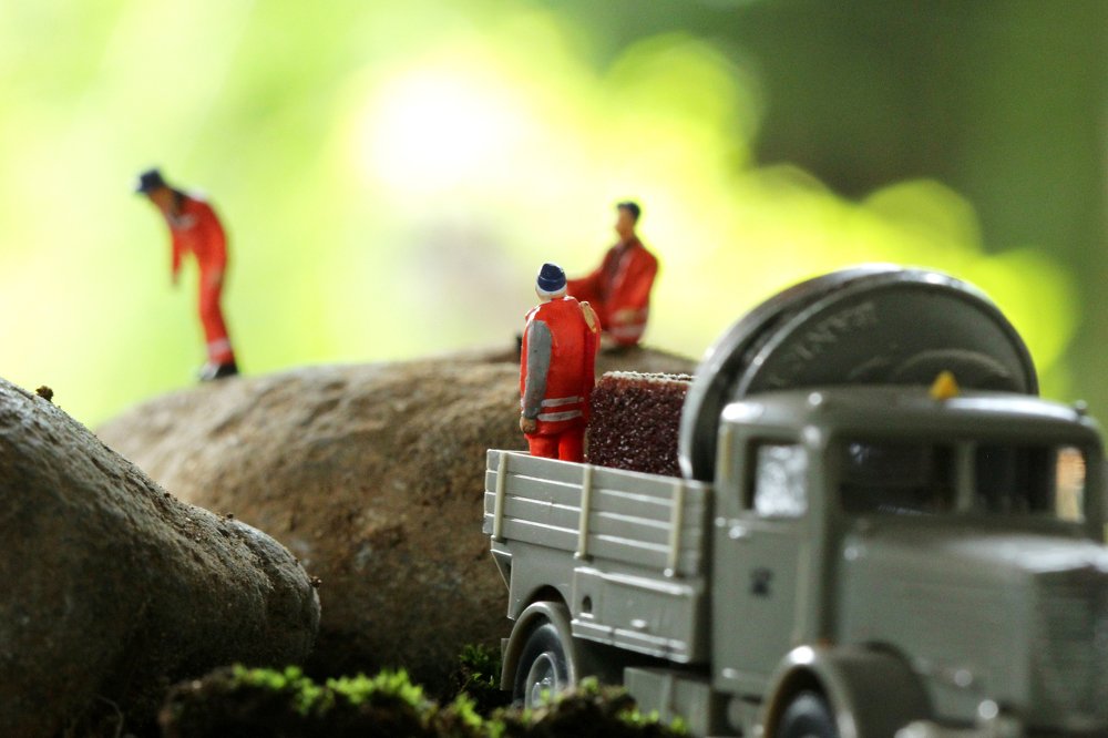 Photograph by Rahmat Nugroho