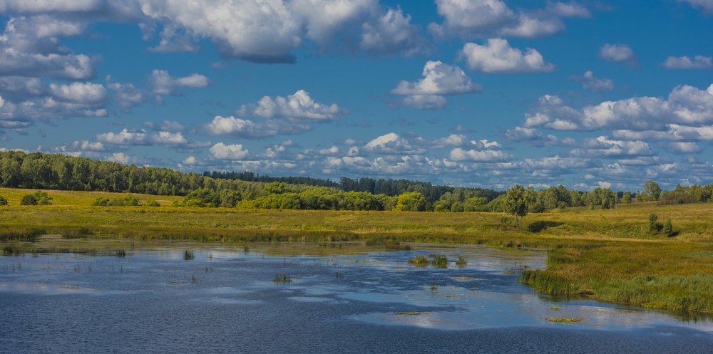 Photograph by Анна Кривицкая