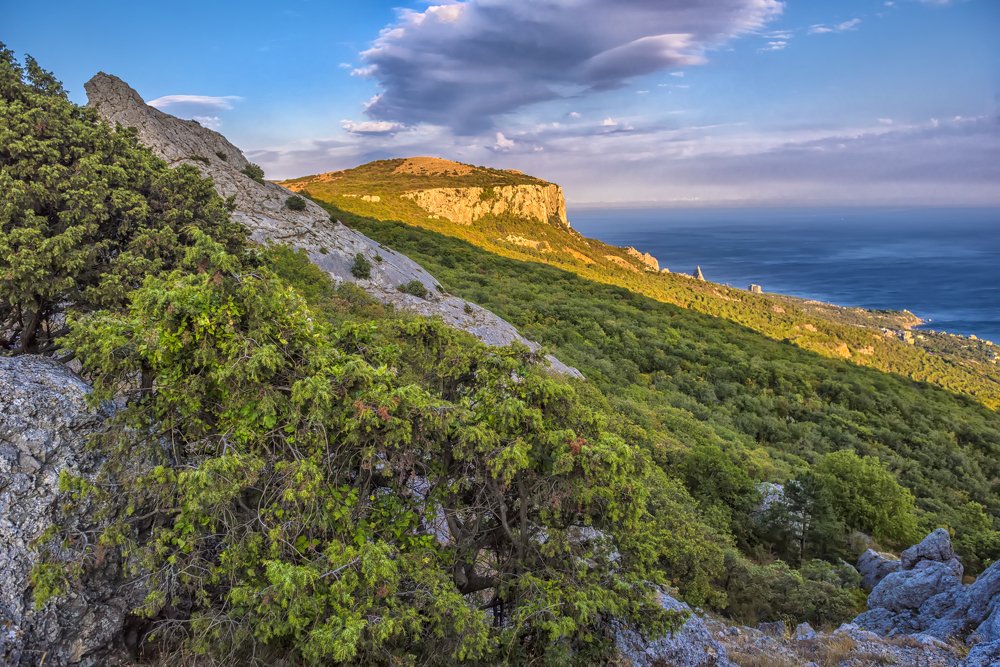 Photograph by Анна Кривицкая