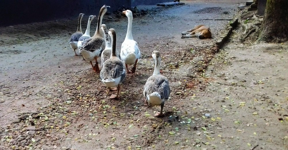 Photograph by Mah Jarin Afifa