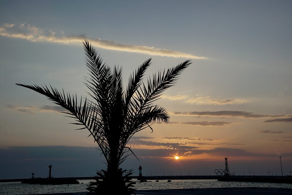 Photograph by Евгений Аккуратов