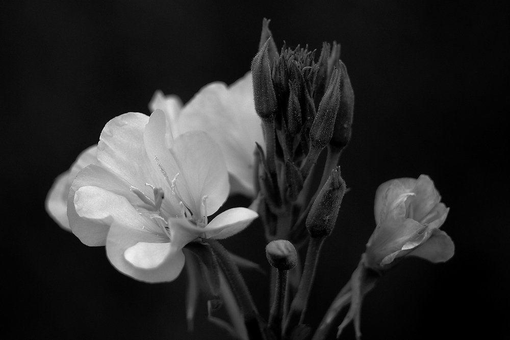 Фотография автора Геннадий Титов