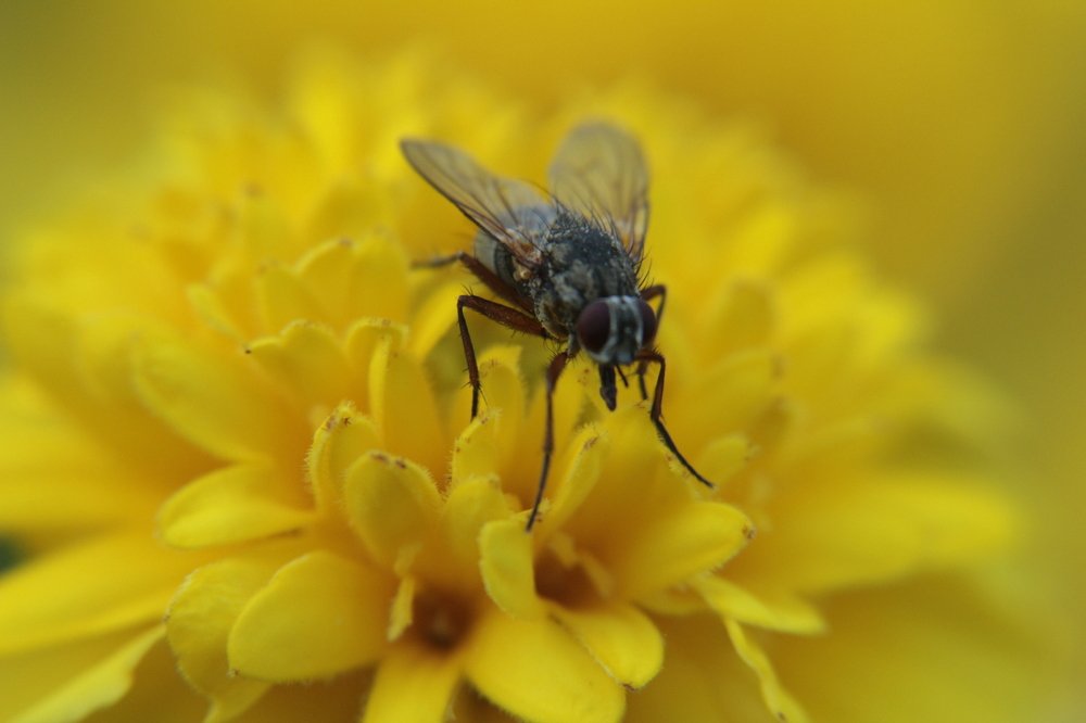 Photograph by Alvils Baltins