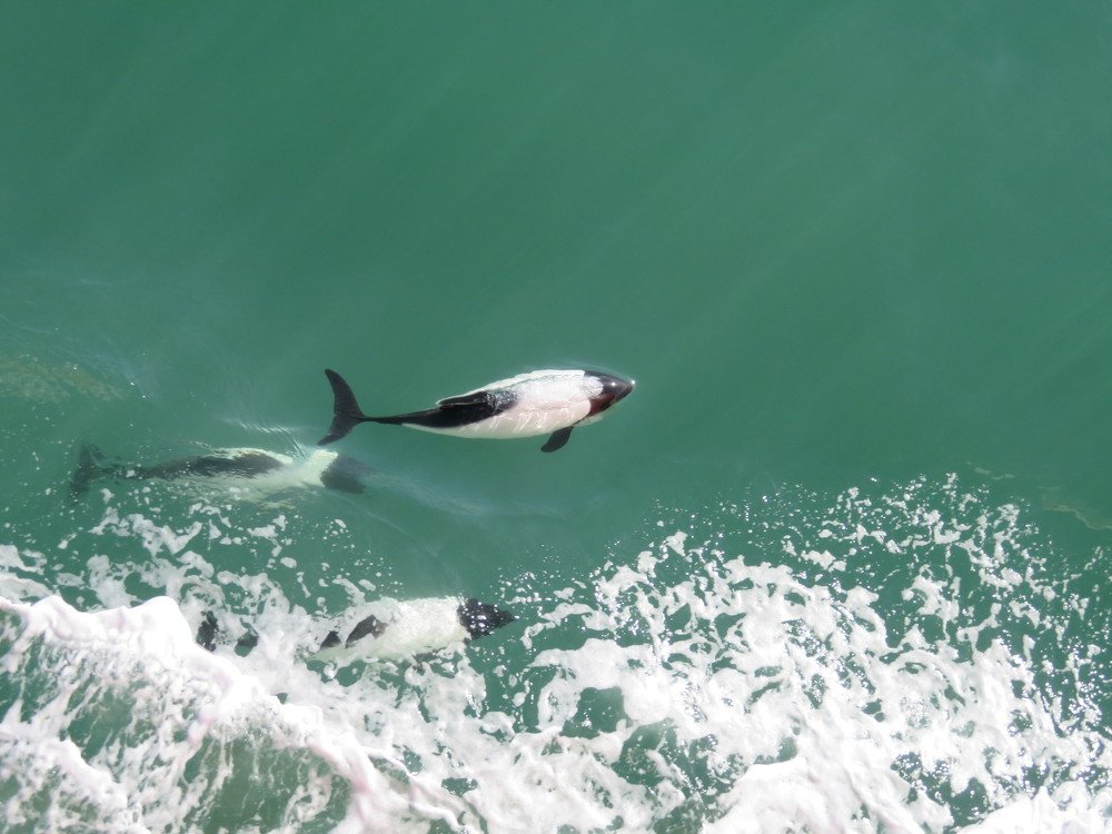 Photograph by Марина Осипова