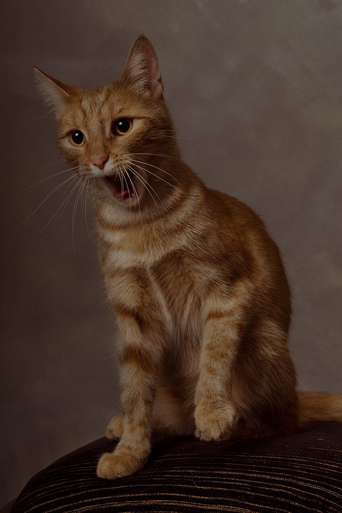 Photograph by Katarzyna Koludzka