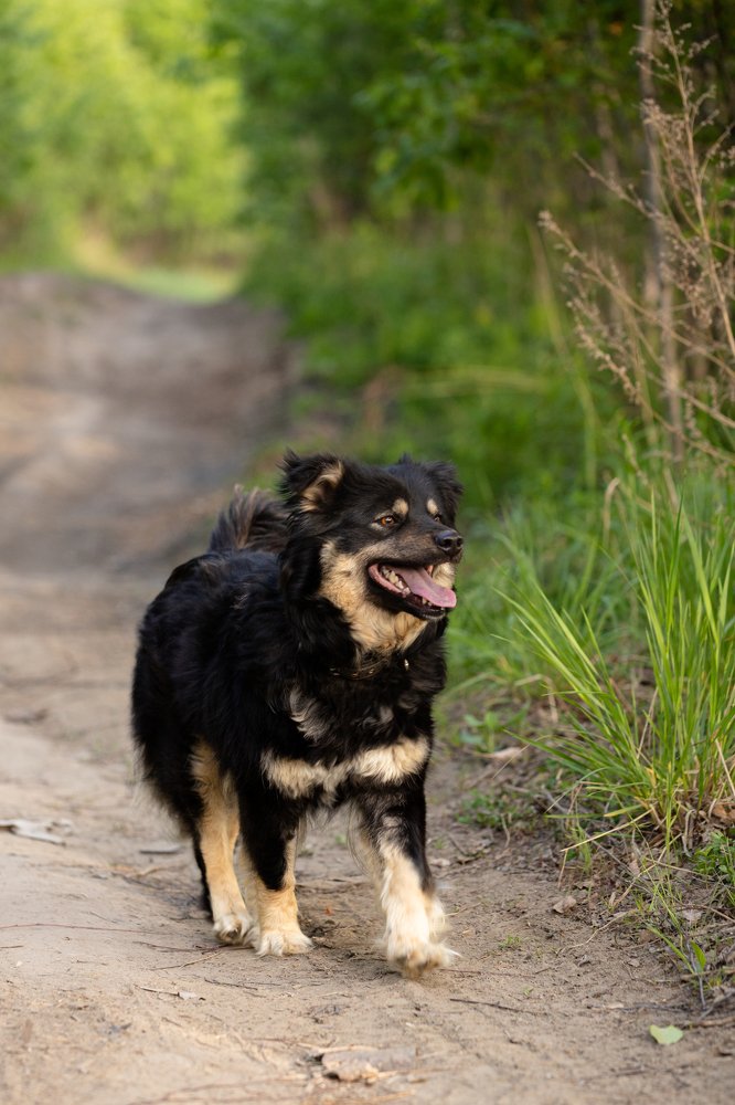 Photograph by Любовь Тернова