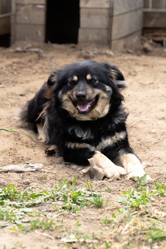 Photograph by Любовь Тернова