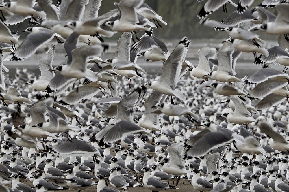 Photograph by Игорь Чупин