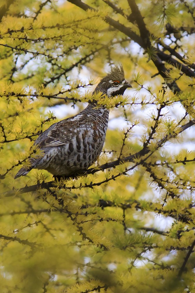 Photograph by Олег Тетерин