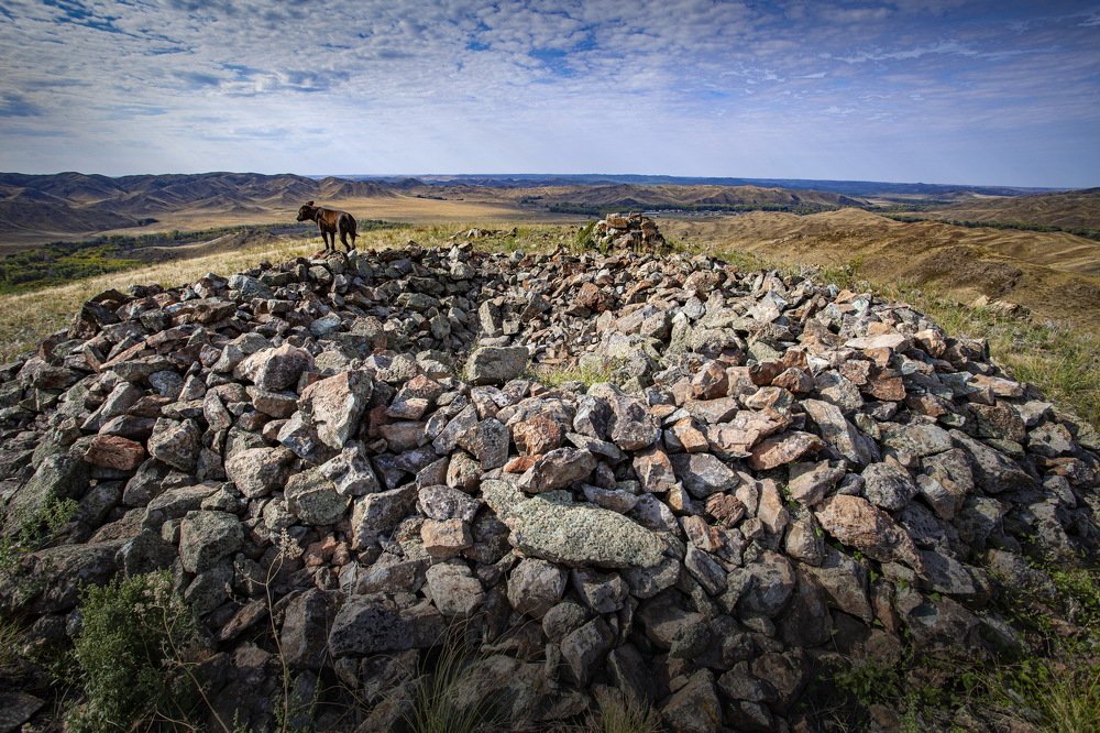 Photograph by петр чиков