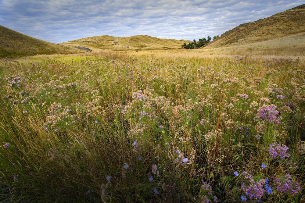 Photograph by петр чиков