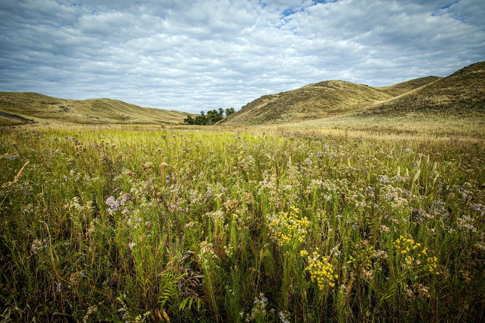 Photograph by петр чиков