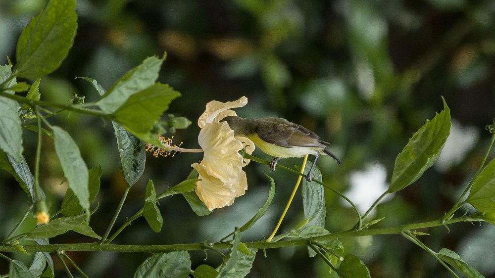 Photograph by Praveen Kumar