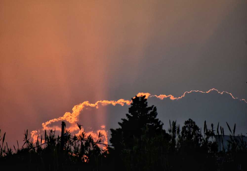 Photograph by Daniela